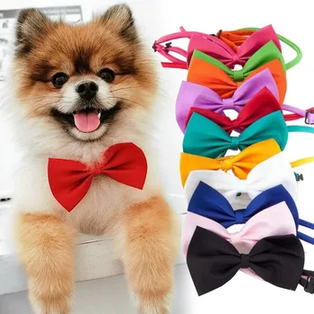 1PCS naminių šunų vėrinys Oficialus kaklaraištis Reguliuojamas peteliškės nešiojamas antkaklis kačių šunų aksesuarams Kostiumas mažam vidutiniam šuniui