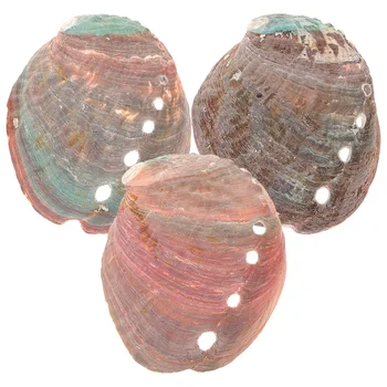 3 vnt Akvariumas Natūralus apvalkalas Abalono dekoratyviniai papuošalai Peleninės dubuo tepimui