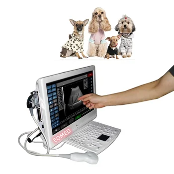 BW08vet Kinija Tiekėjas didmeninė kaina veterinarinis ultragarso aparatas 18.5 colio LED jutiklinis ekranas gali sieninis Vet ultragarsinis skaitytuvas