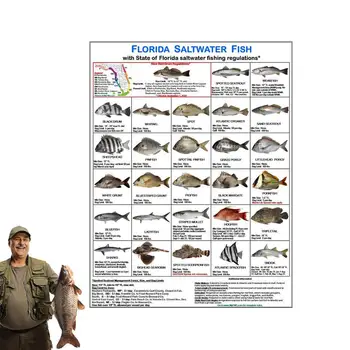 Floridos sūraus vandens žuvų kortelės magnetinė kortelė su žuvų rūšių vadovu Nustatykite Floridos vandenų taisyklių kortelę žvejybos entuziastams