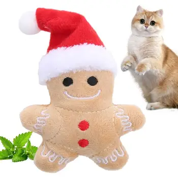 Kalėdinis katinas Dantis žaislas Meduoliai Katės žaislas Katė Augintinis Kalėdiniai žaislai Nešiojami įdaryti meduoliai Žmogus Katino žaislai