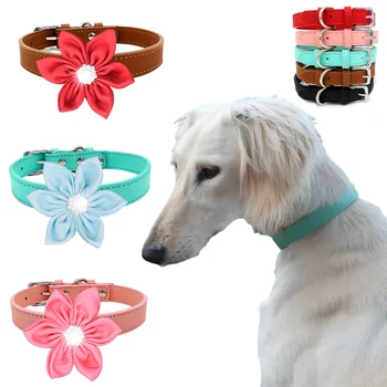 Šuniuko šuo Katė PU odinis antkaklis su gėlėmis Reguliuojami kieti naminių gyvūnėlių antkakliai mažiems šunims Priedai para perro Talismanas Produktas