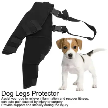 Šuns kelio petnešos nugaros kojų atramai Reguliuojamas šuns klubo kojos sąnario apsauga Užkirsti kelią traumoms Apsaugokite kojų žaizdas Šuns kojų juosta R9p0